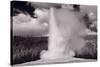 Old Faithful Yellowstone BW-Steve Gadomski-Stretched Canvas