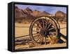 Old Farm Equipment, Ghost Town, Rhyolite, Nevada, USA-Michel Hersen-Framed Stretched Canvas