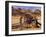 Old Farm Equipment, Ghost Town, Rhyolite, Nevada, USA-Michel Hersen-Framed Premium Photographic Print