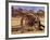 Old Farm Equipment, Ghost Town, Rhyolite, Nevada, USA-Michel Hersen-Framed Photographic Print