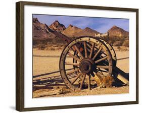 Old Farm Equipment, Ghost Town, Rhyolite, Nevada, USA-Michel Hersen-Framed Photographic Print