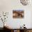 Old Farm Equipment, Ghost Town, Rhyolite, Nevada, USA-Michel Hersen-Mounted Photographic Print displayed on a wall