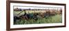 Old Farm Equipment in a Field, Kansas, USA-null-Framed Photographic Print