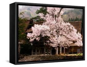 Old Farm House and Cherry Blossoms-null-Framed Stretched Canvas