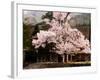 Old Farm House and Cherry Blossoms-null-Framed Photographic Print