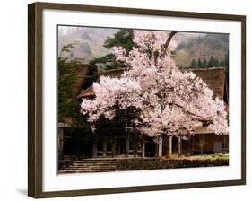 Old Farm House and Cherry Blossoms-null-Framed Photographic Print