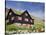 Old Farm House with Sod Roof, Kirkjubor Village, Faroe Islands, Denmark-Cindy Miller Hopkins-Stretched Canvas