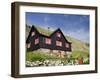 Old Farm House with Sod Roof, Kirkjubor Village, Faroe Islands, Denmark-Cindy Miller Hopkins-Framed Premium Photographic Print