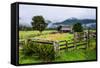 Old Farm in a Moody Atmosphere, West Coast around Haast, South Island, New Zealand, Pacific-Michael Runkel-Framed Stretched Canvas