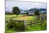 Old Farm in a Moody Atmosphere, West Coast around Haast, South Island, New Zealand, Pacific-Michael Runkel-Mounted Photographic Print