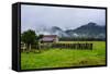Old Farm in a Moody Atmosphere, West Coast around Haast, South Island, New Zealand, Pacific-Michael Runkel-Framed Stretched Canvas