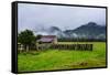 Old Farm in a Moody Atmosphere, West Coast around Haast, South Island, New Zealand, Pacific-Michael Runkel-Framed Stretched Canvas