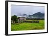 Old Farm in a Moody Atmosphere, West Coast around Haast, South Island, New Zealand, Pacific-Michael Runkel-Framed Photographic Print