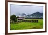 Old Farm in a Moody Atmosphere, West Coast around Haast, South Island, New Zealand, Pacific-Michael Runkel-Framed Photographic Print