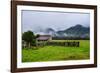 Old Farm in a Moody Atmosphere, West Coast around Haast, South Island, New Zealand, Pacific-Michael Runkel-Framed Photographic Print