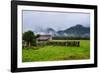 Old Farm in a Moody Atmosphere, West Coast around Haast, South Island, New Zealand, Pacific-Michael Runkel-Framed Photographic Print