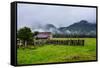 Old Farm in a Moody Atmosphere, West Coast around Haast, South Island, New Zealand, Pacific-Michael Runkel-Framed Stretched Canvas
