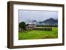 Old Farm in a Moody Atmosphere, West Coast around Haast, South Island, New Zealand, Pacific-Michael Runkel-Framed Photographic Print