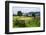 Old Farm in a Moody Atmosphere, West Coast around Haast, South Island, New Zealand, Pacific-Michael Runkel-Framed Photographic Print