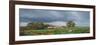 Old Farm, Monyash, Derbyshire, 2009-Trevor Neal-Framed Giclee Print