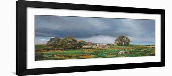 Old Farm, Monyash, Derbyshire, 2009-Trevor Neal-Framed Giclee Print