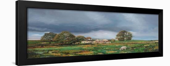 Old Farm, Monyash, Derbyshire, 2009-Trevor Neal-Framed Giclee Print