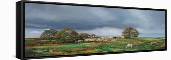 Old Farm, Monyash, Derbyshire, 2009-Trevor Neal-Framed Stretched Canvas