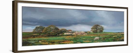 Old Farm, Monyash, Derbyshire, 2009-Trevor Neal-Framed Giclee Print