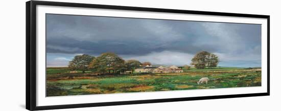 Old Farm, Monyash, Derbyshire, 2009-Trevor Neal-Framed Giclee Print