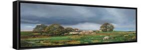 Old Farm, Monyash, Derbyshire, 2009-Trevor Neal-Framed Stretched Canvas