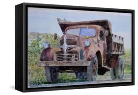 Old Farm Truck, 2008-Anthony Butera-Framed Stretched Canvas