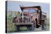 Old Farm Truck, 2008-Anthony Butera-Stretched Canvas