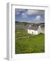 Old Farmhouse in Rosapenna, County Donegal, Ulster, Republic of Ireland, Europe-Richard Cummins-Framed Photographic Print