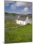 Old Farmhouse in Rosapenna, County Donegal, Ulster, Republic of Ireland, Europe-Richard Cummins-Mounted Photographic Print