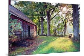 Old Farmhouse In Warm Autumn Sunlight-George Oze-Mounted Photographic Print