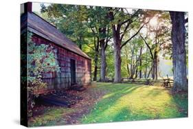 Old Farmhouse In Warm Autumn Sunlight-George Oze-Stretched Canvas