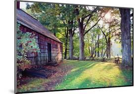 Old Farmhouse In Warm Autumn Sunlight-George Oze-Mounted Photographic Print