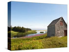 Old Farmhouse Near Lakeville, Prince Edward Island, Canada, North America-Michael DeFreitas-Stretched Canvas