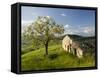 Old Farmhouse, Pergusa, Enna, Sicily, Italy-Walter Bibikow-Framed Stretched Canvas