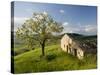 Old Farmhouse, Pergusa, Enna, Sicily, Italy-Walter Bibikow-Stretched Canvas