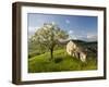 Old Farmhouse, Pergusa, Enna, Sicily, Italy-Walter Bibikow-Framed Photographic Print