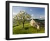 Old Farmhouse, Pergusa, Enna, Sicily, Italy-Walter Bibikow-Framed Photographic Print