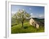 Old Farmhouse, Pergusa, Enna, Sicily, Italy-Walter Bibikow-Framed Photographic Print