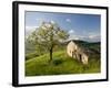 Old Farmhouse, Pergusa, Enna, Sicily, Italy-Walter Bibikow-Framed Photographic Print