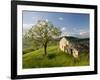 Old Farmhouse, Pergusa, Enna, Sicily, Italy-Walter Bibikow-Framed Photographic Print