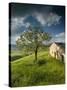 Old Farmhouse, Pergusa, Enna, Sicily, Italy-Walter Bibikow-Stretched Canvas