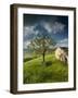 Old Farmhouse, Pergusa, Enna, Sicily, Italy-Walter Bibikow-Framed Photographic Print