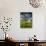 Old Farmhouse, Pergusa, Enna, Sicily, Italy-Walter Bibikow-Photographic Print displayed on a wall