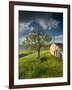 Old Farmhouse, Pergusa, Enna, Sicily, Italy-Walter Bibikow-Framed Photographic Print