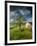 Old Farmhouse, Pergusa, Enna, Sicily, Italy-Walter Bibikow-Framed Photographic Print